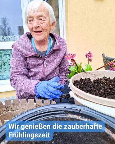 Nahaufnahme einer älteren Frau mit kurzem, grauem Haar, die ein lila Langarmshirt und blaue Handschuhe trägt und sich aktiv mit Gartenarbeit beschäftigt. Sie wirkt glücklich und lächelt. Um sie herum sind Pflanztöpfe, darunter einige mit blühenden lila Blumen. Die Frau arbeitet mit Erde in einem Behälter. Die Szenerie scheint im Freien zu sein, möglicherweise auf einer Terrasse. Im Vordergrund ist ein großer Behälter.  Ein auffälliger Schriftzug am unteren Bildrand lautet: "Wir genießen die magische Frühlingszeit."  Die allgemeine Stimmung des Bildes ist heiter und vermittelt ein Gefühl der Freude an den Frühlings- und Gartenaktivitäten.