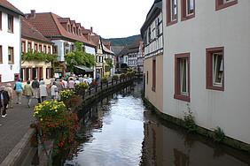 Neues Bild 01 image-49384