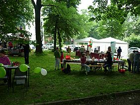image-49253