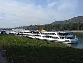 image-49103