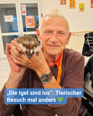 Ein älterer Herr hält einen Igel in der Hand. Bildbeschriftung: „Die Igel sind los“: Tierischer Besuch mal anders