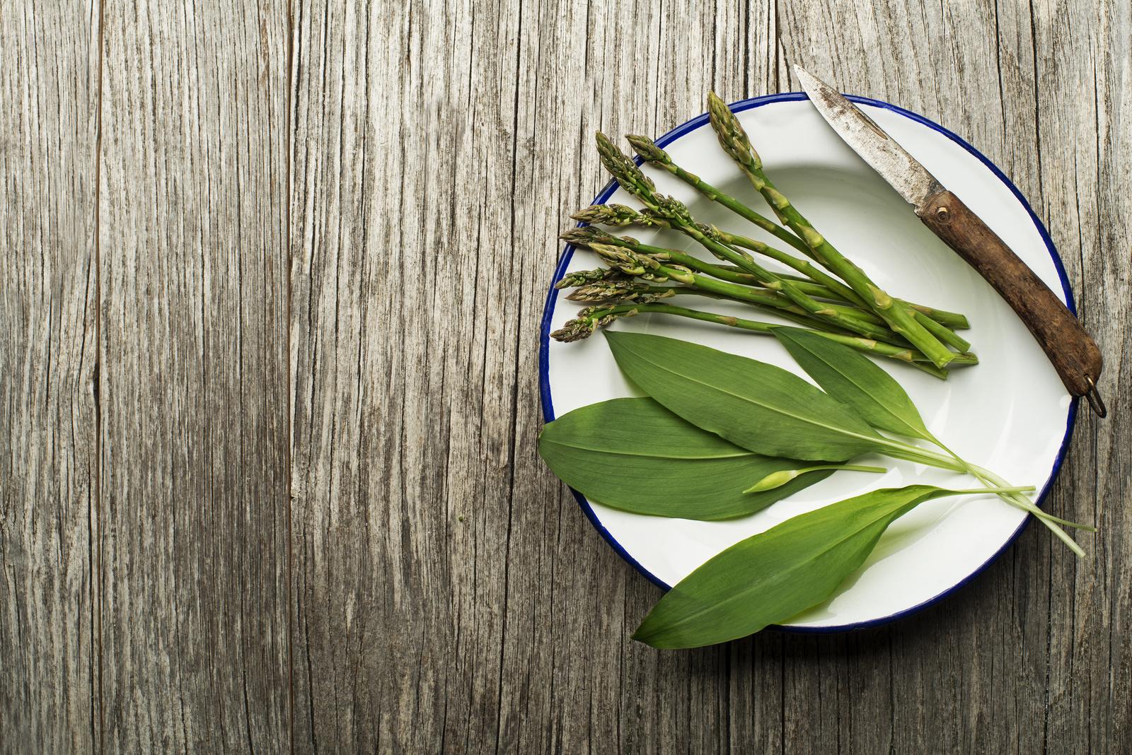 wild garlic, country, diet, eat, edible, farming, fresh, garden, green, growing, harvest, healthy, herbs, ingredients, knife, leaves, natural, nutrition, pick, plants, spring, vegetables
