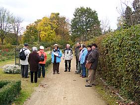 image-49329