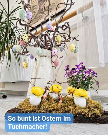 Nahaufnahme von einer Osterdekoration.  Ein rustikaler, hellfarbiger Metallkrug steht im Mittelpunkt und scheint mit einem Arrangement aus getrockneten Zweigen gefüllt zu sein, an denen zahlreiche kleine, pastellfarbene Ostereier hängen. Die Eier präsentieren sich in verschiedenen sanften Tönen von Rosa, Lila, Gelb und Hellgrün, jedes mit winzigen weißen Punkten verziert. Um den Fuß des Kruges, der sich nach außen erstreckt, liegt eine Bett aus Moos, in dem kleine, gelbe, pilzförmige Dekorationen und kleine Kunststoffeier eingebettet sind. Hinter und leicht rechts des Kruges steht ein kleiner Topf mit lila Stiefmütterchen. Die gesamte Anordnung ruht auf einem dunkelbraunen Holzuntergrund.  Im Hintergrund ist ein Teil eines weißen Heizkörpers zu sehen, sowie eine Zimmerpflanze und ein Ausschnitt eines gerahmten Bildes, das sich offenbar in einem Wohnraum oder einem ähnlichen Ambiente befindet. Die gesamte Ästhetik strahlt rustikalen Charme aus. Eine Beschriftung am unteren Rand lautet „So bunt ist Ostern im Tuchmacher!”