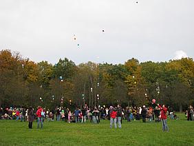 IMG 1178 image-49359