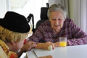 IMG 3564 image-51664