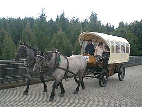image-49061