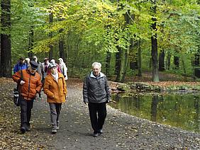 image-65004