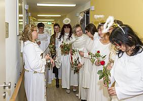 IMG 3832 ps image-59242