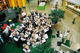 image-49223