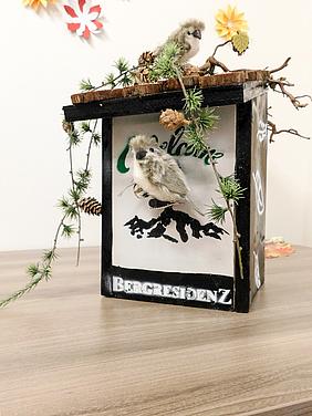 Das Vogelhäuschen des Seniorenpflegeheims Bergresidenz aus Stollberg image-59111