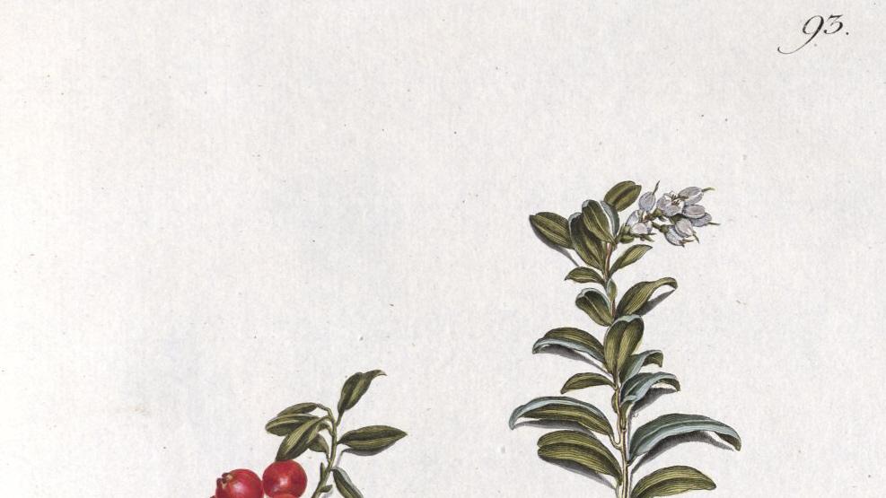 image-71461