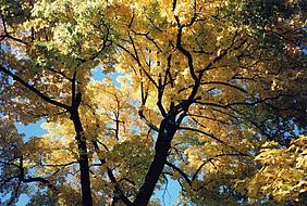 Herbst image-49522