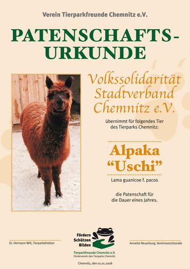 TPV_Urkunde_Paten_alpaka image-49156
