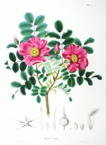 image-67282