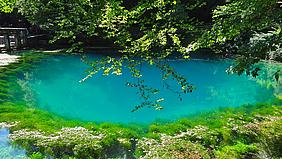image-63037